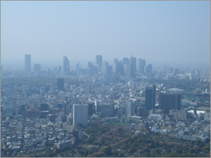 Over Aoyama to Shinjuku photo by NOVAK