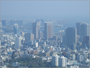 Daiba photo by NOVAK