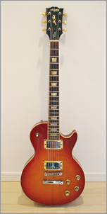 Navigator LesPaul style